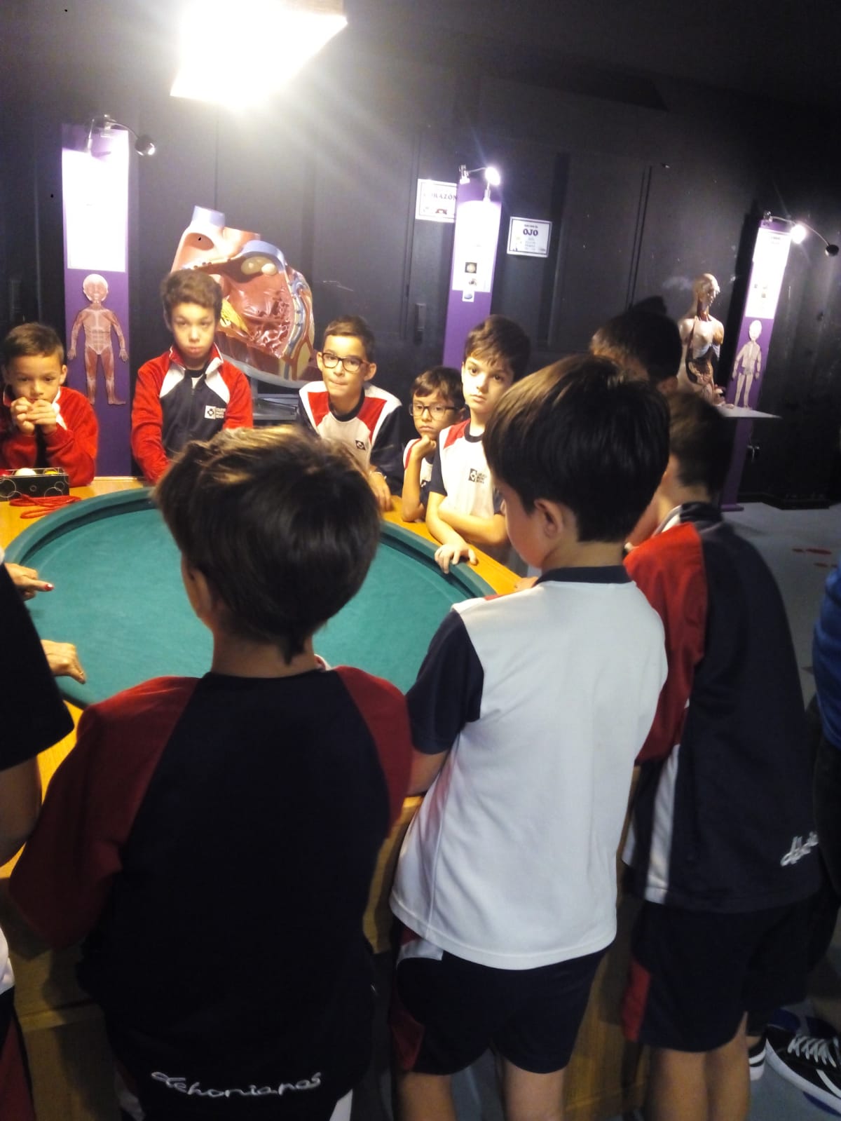 86e58fee febd 401f a773 d89e268a66b6