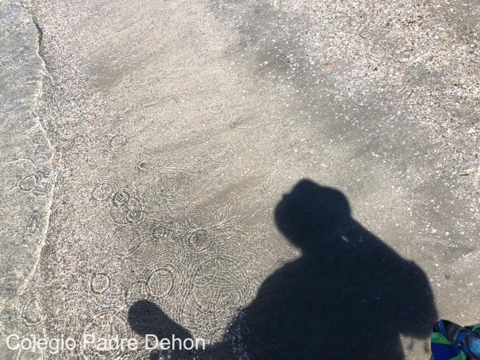 Photo 2019 06 18 15 40 46