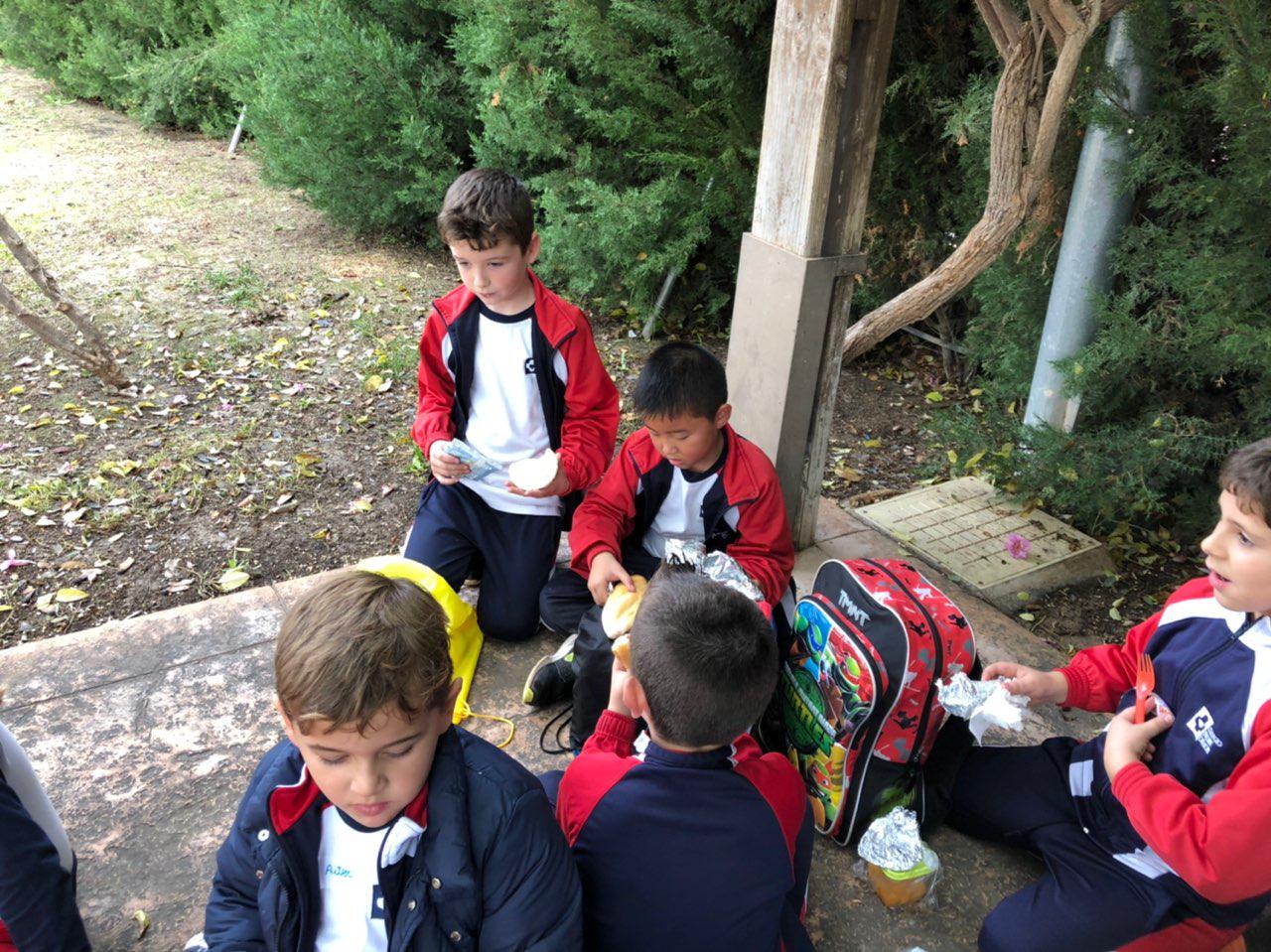 Photo 2018 11 23 16 40 31