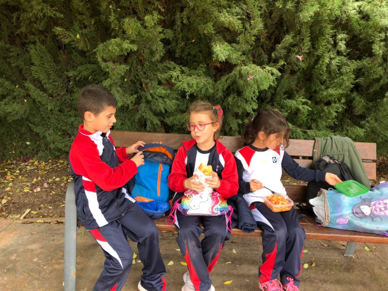 Photo 2018 11 23 16 40 41