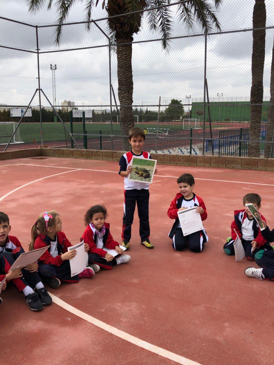 Photo 2018 11 23 16 43 24