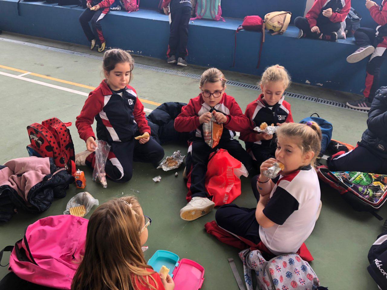 Photo 2018 11 23 16 46 42