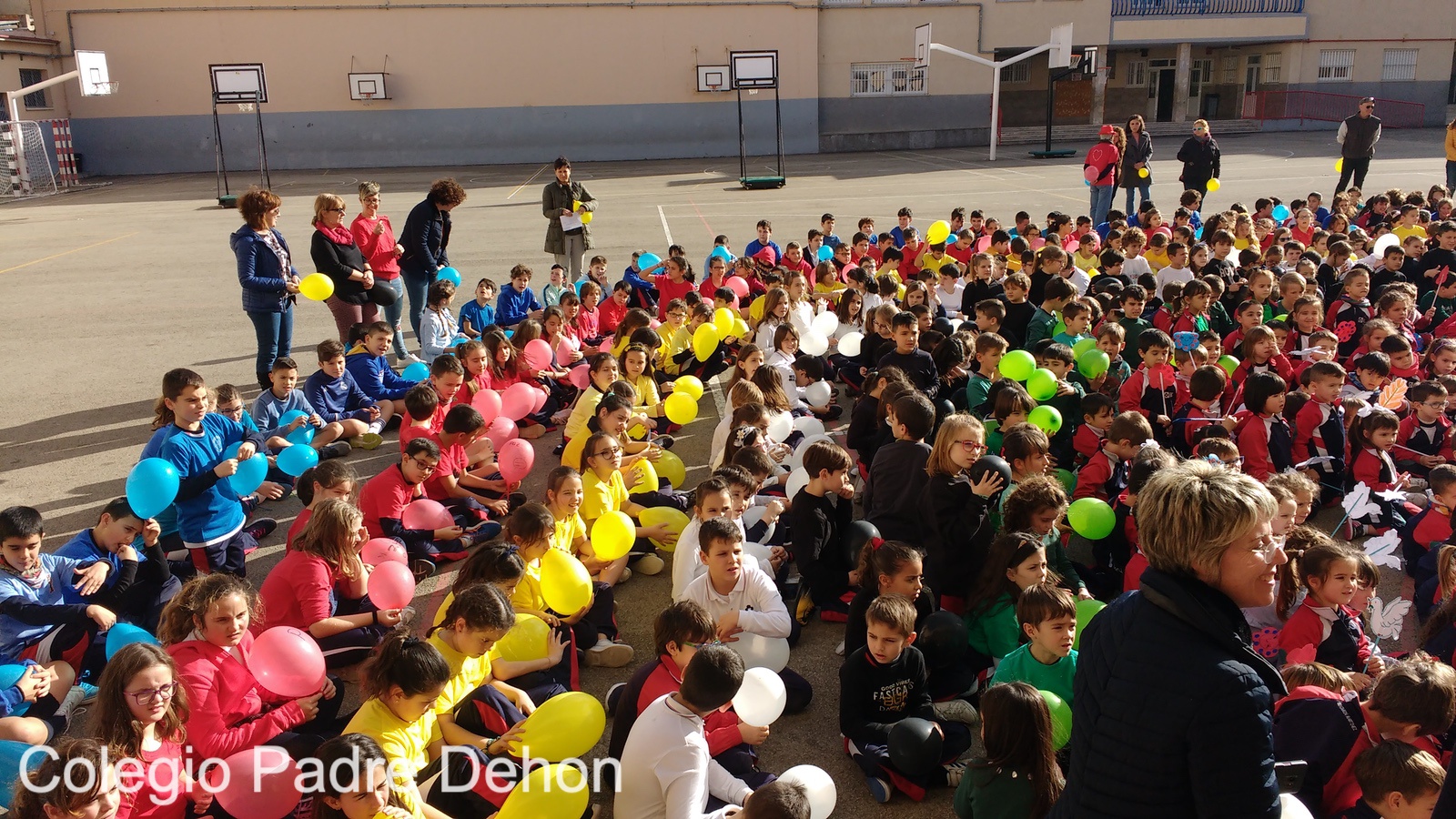 IMG 20190201 155120887