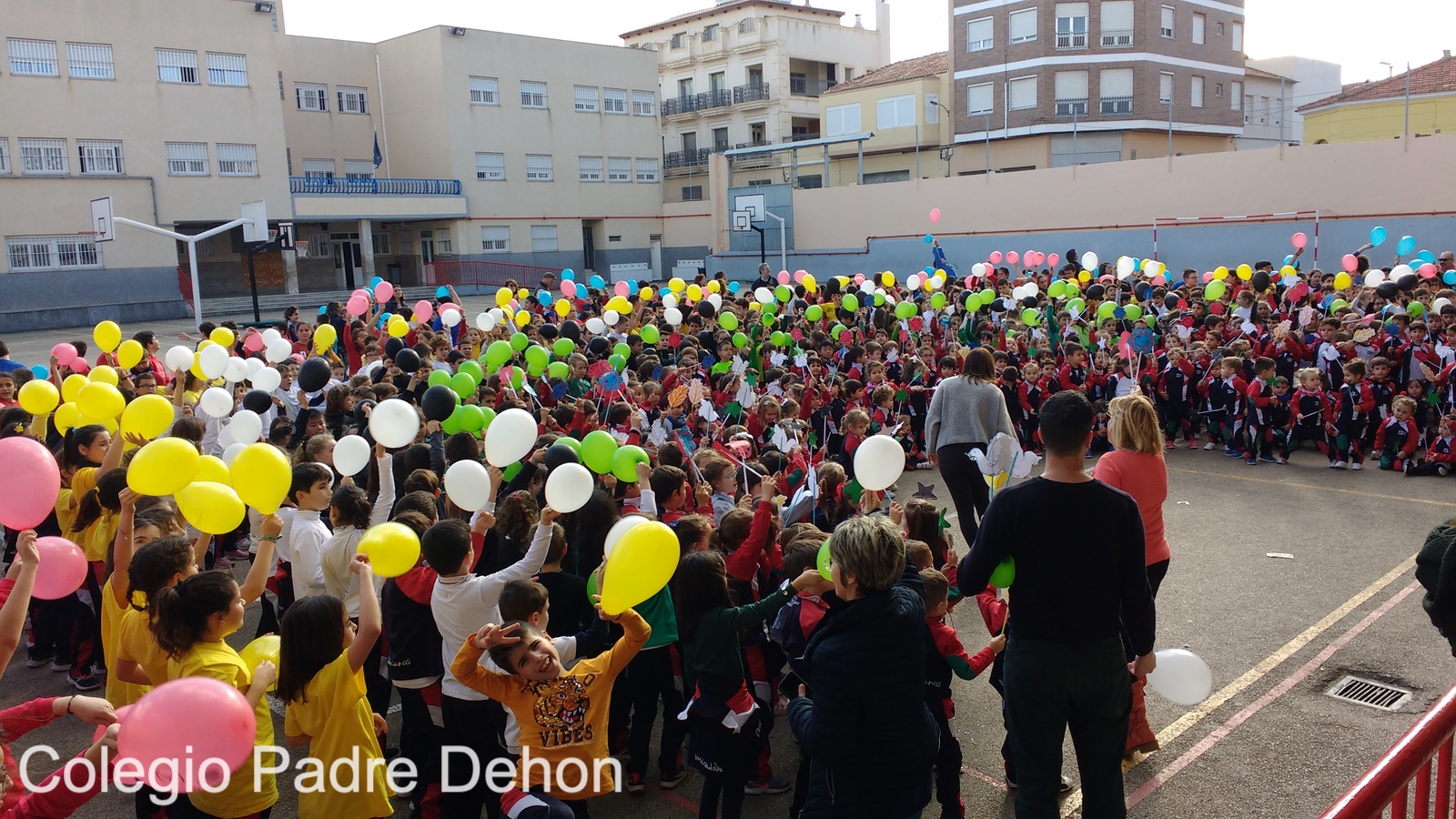 IMG 20190201 155340107