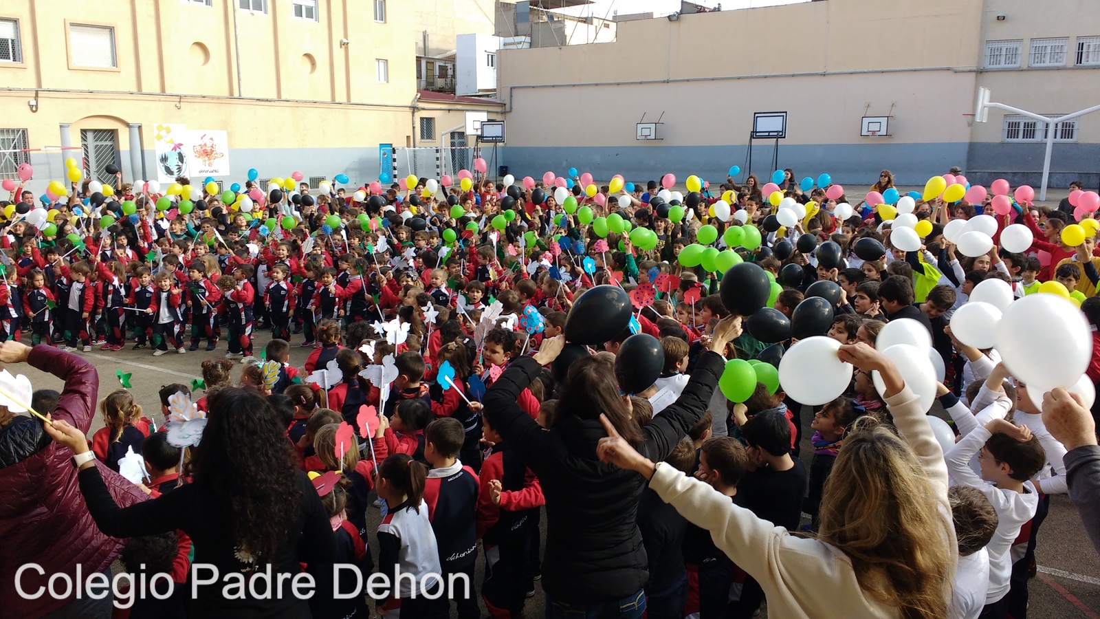 IMG 20190201 155400588