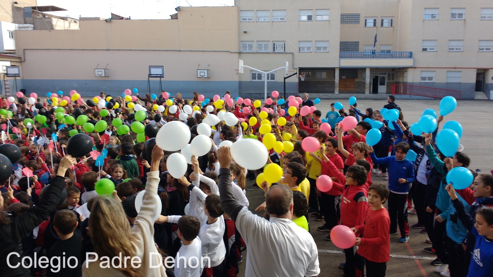 IMG 20190201 155404373