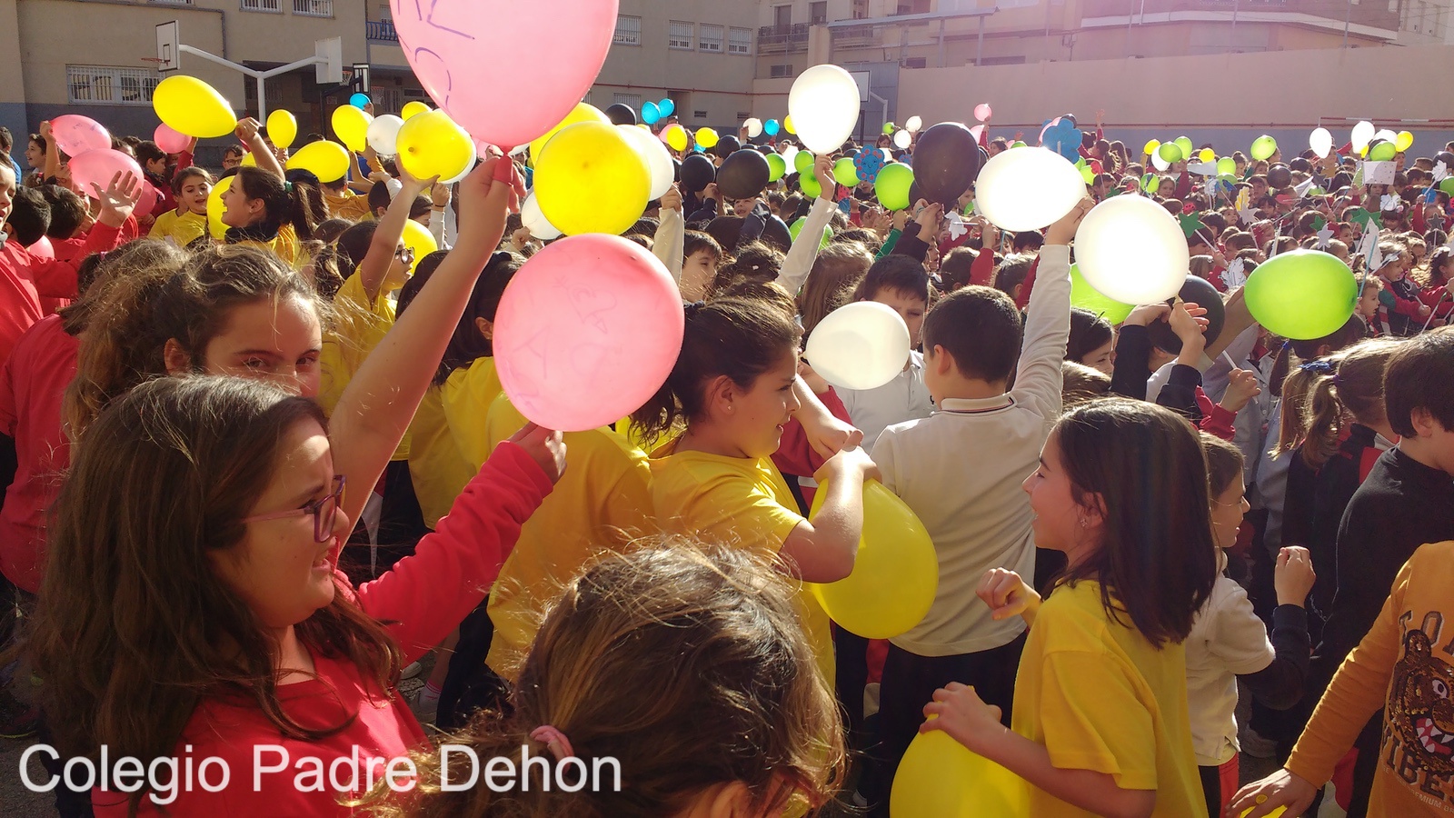 IMG 20190201 160057755