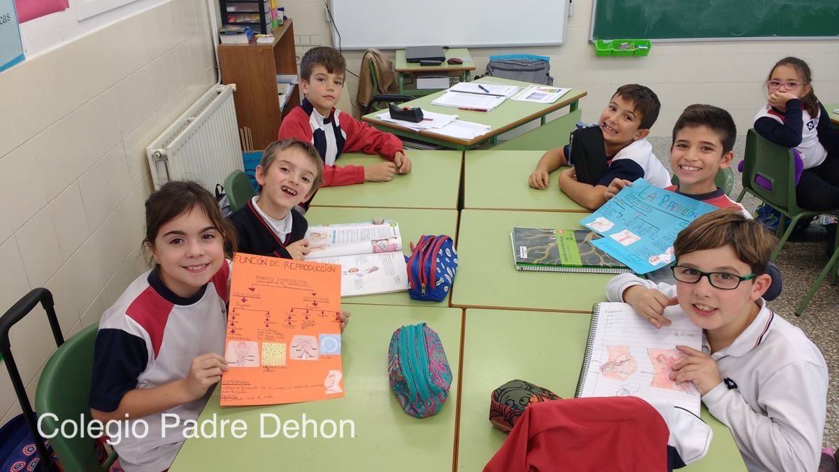 IMG 20171127 162012896