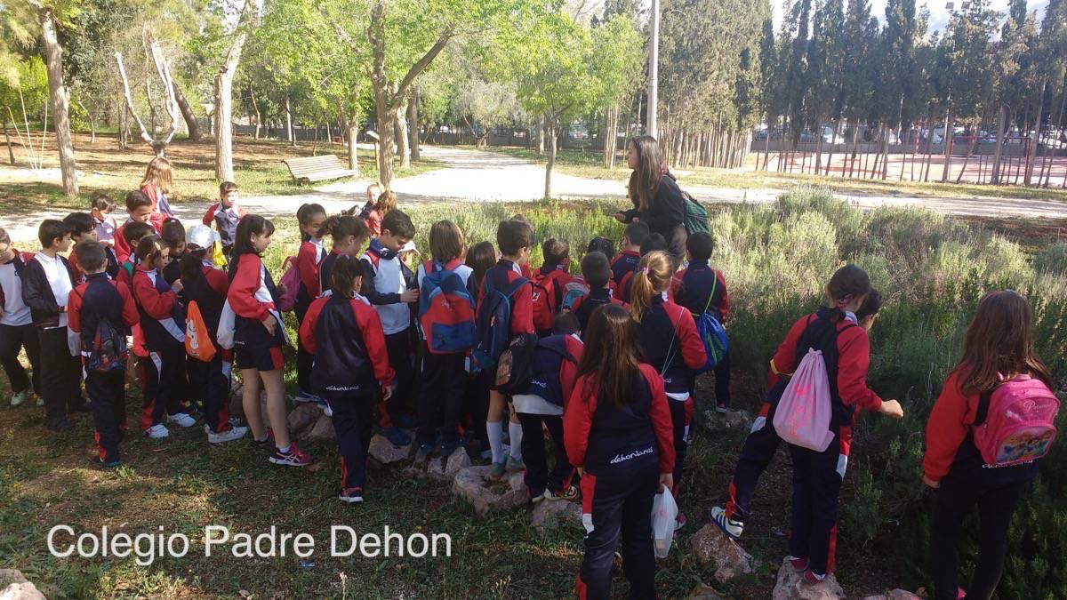 IMG 20180416 101020777