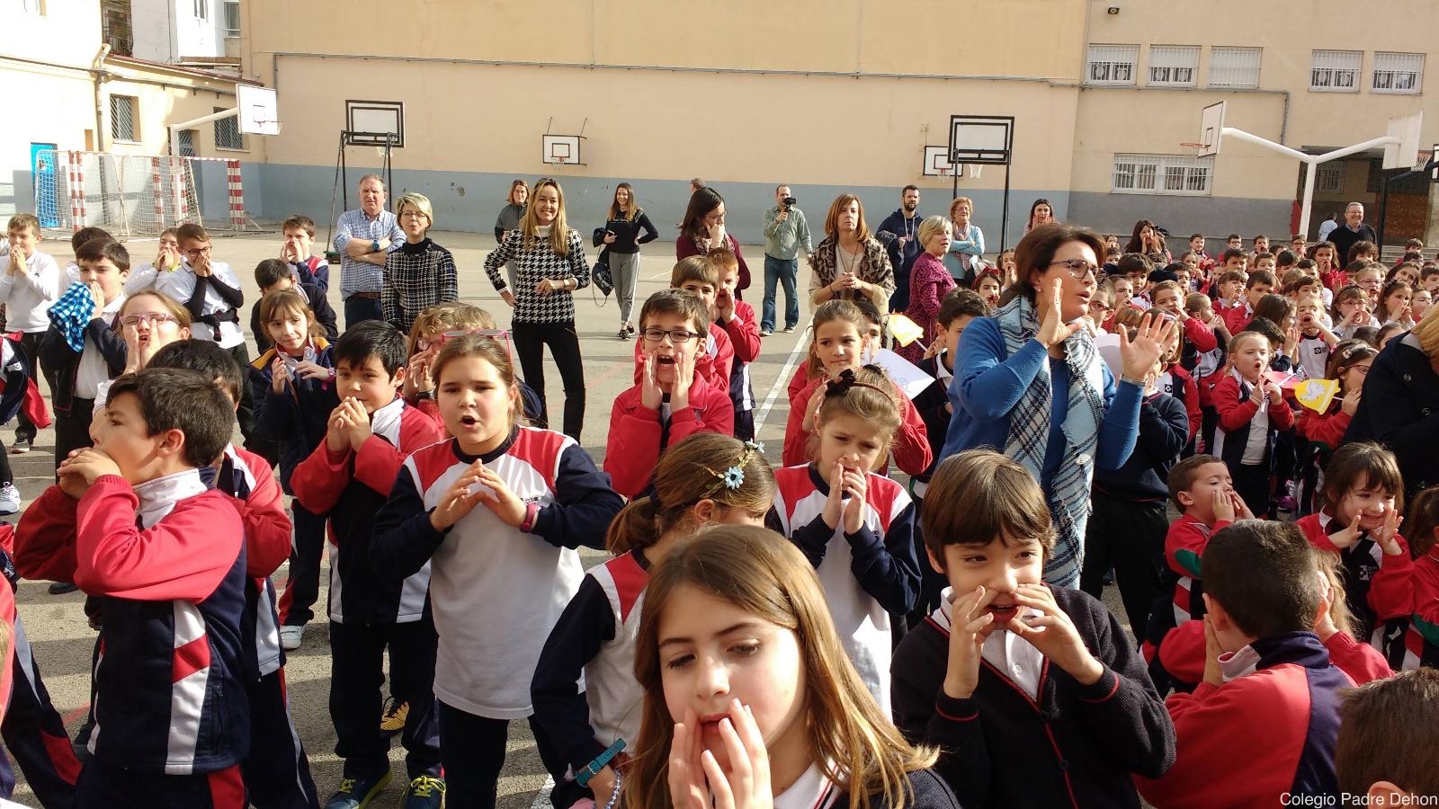 IMG 20180216 161557694