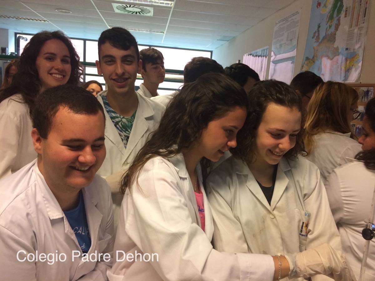 Alumnos 1 BACH Quimica Visita La UMH