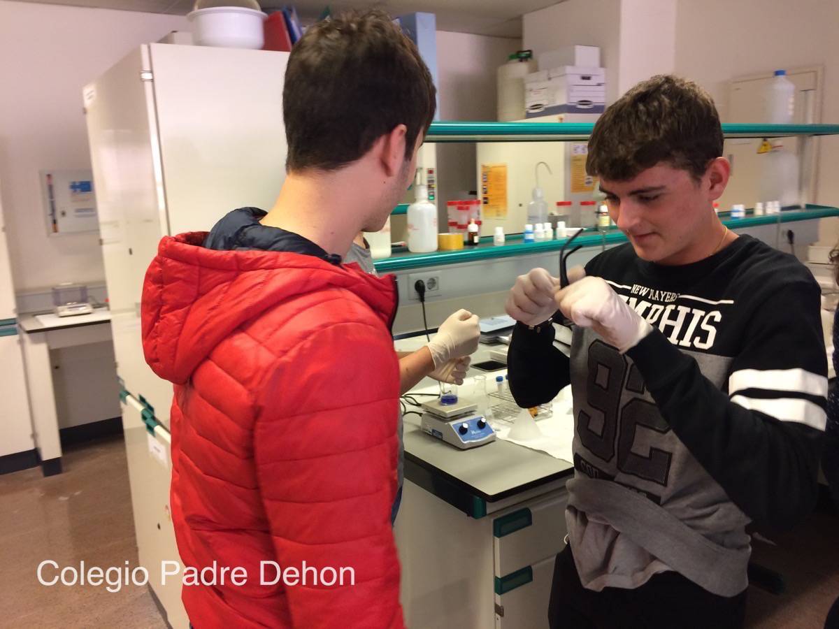 20170425 105824796 iOS