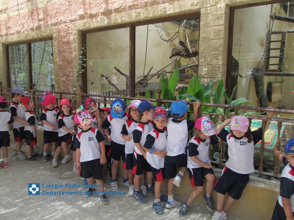 10 Visita Alumnos 1 Infantil Rio Safari