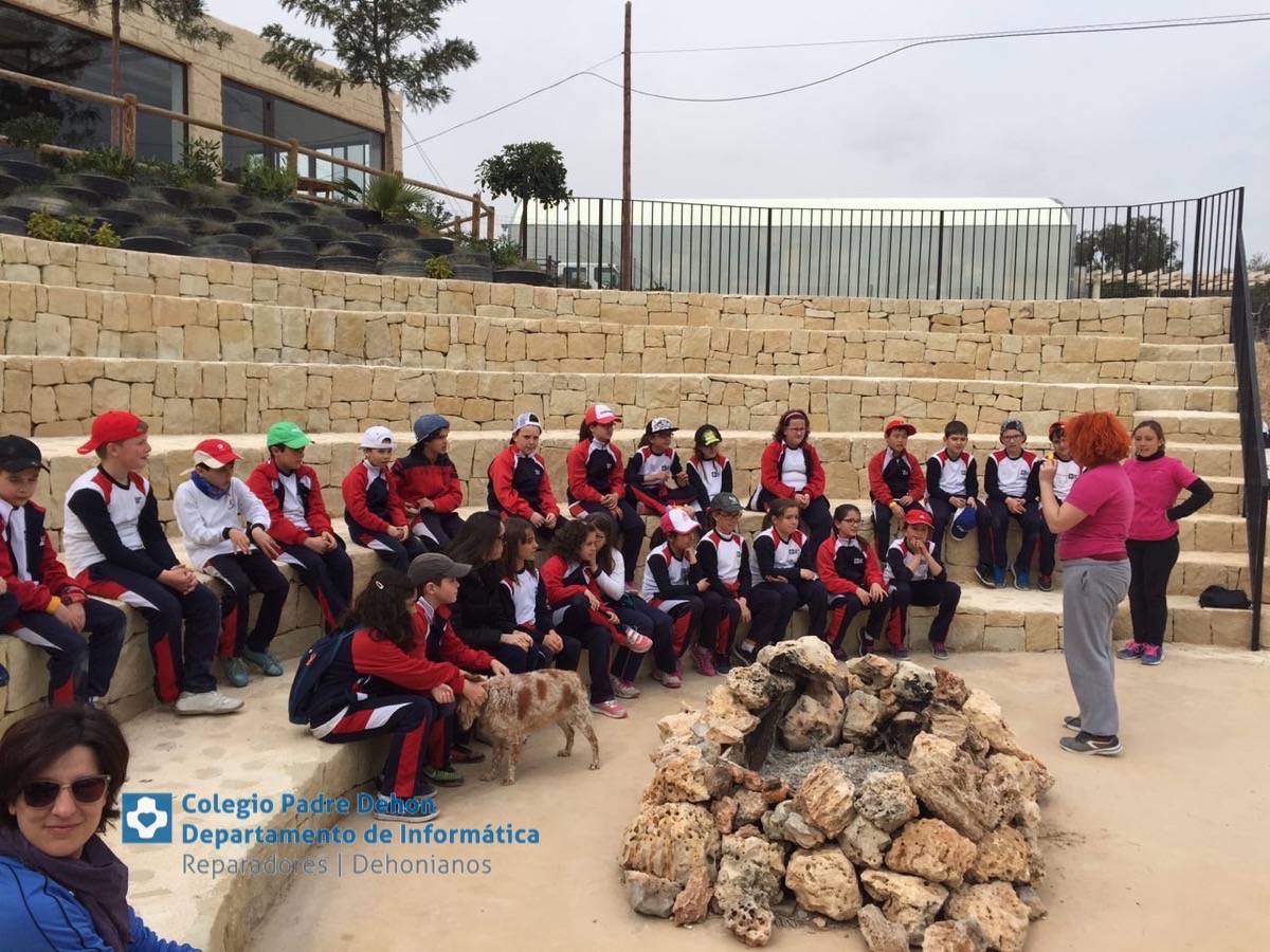 Photo919399636348807132