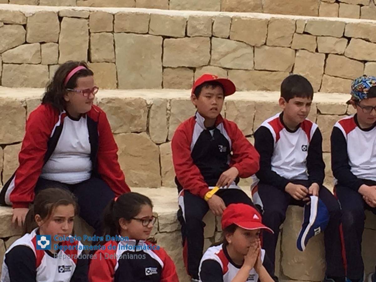 Photo919399636348807133