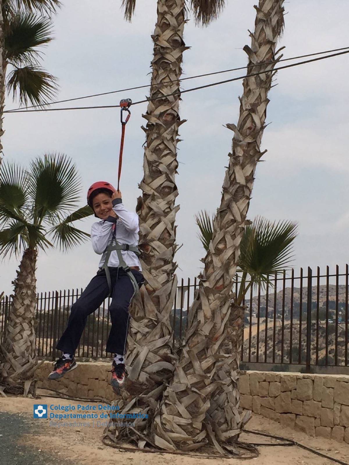 Photo919399636348807139