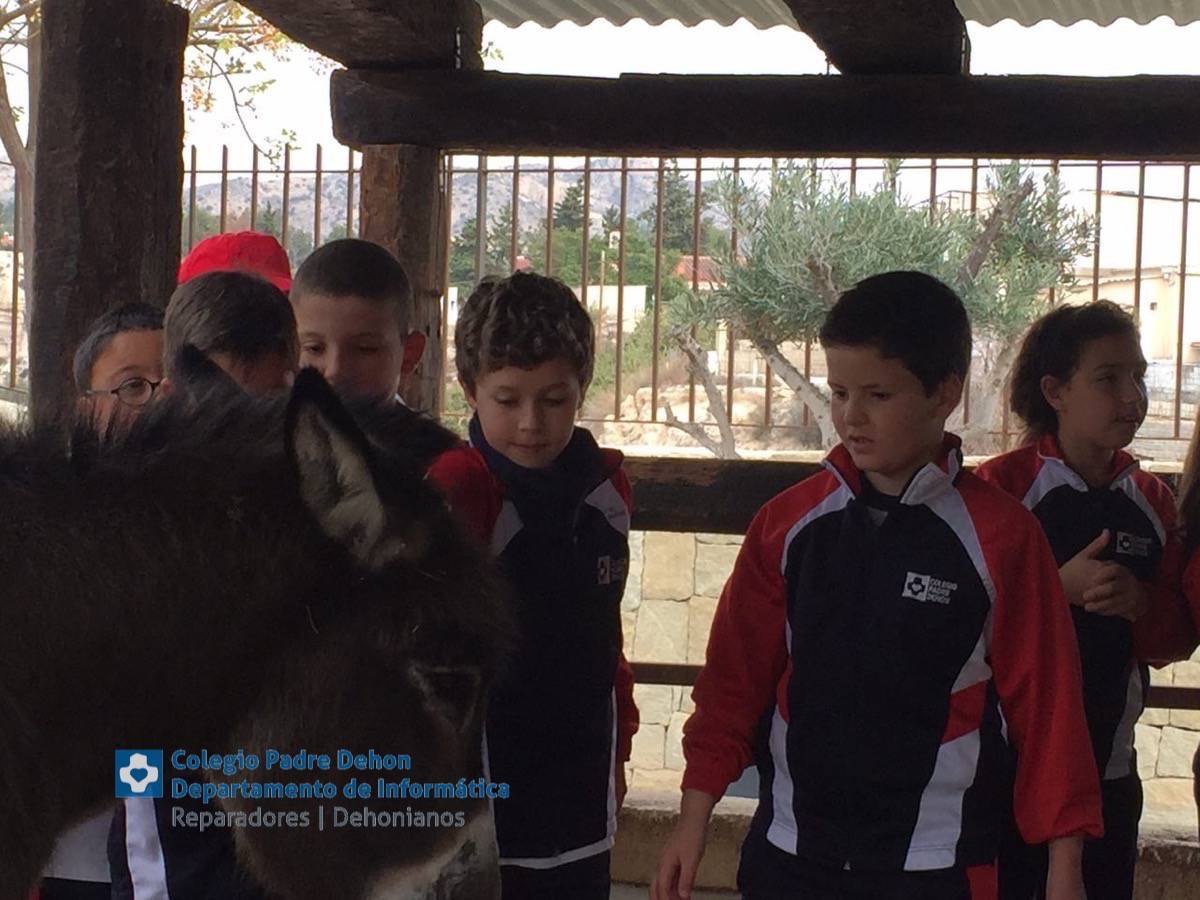 Photo919399636348807140