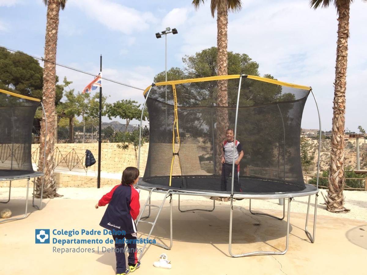 Photo919399636348807150