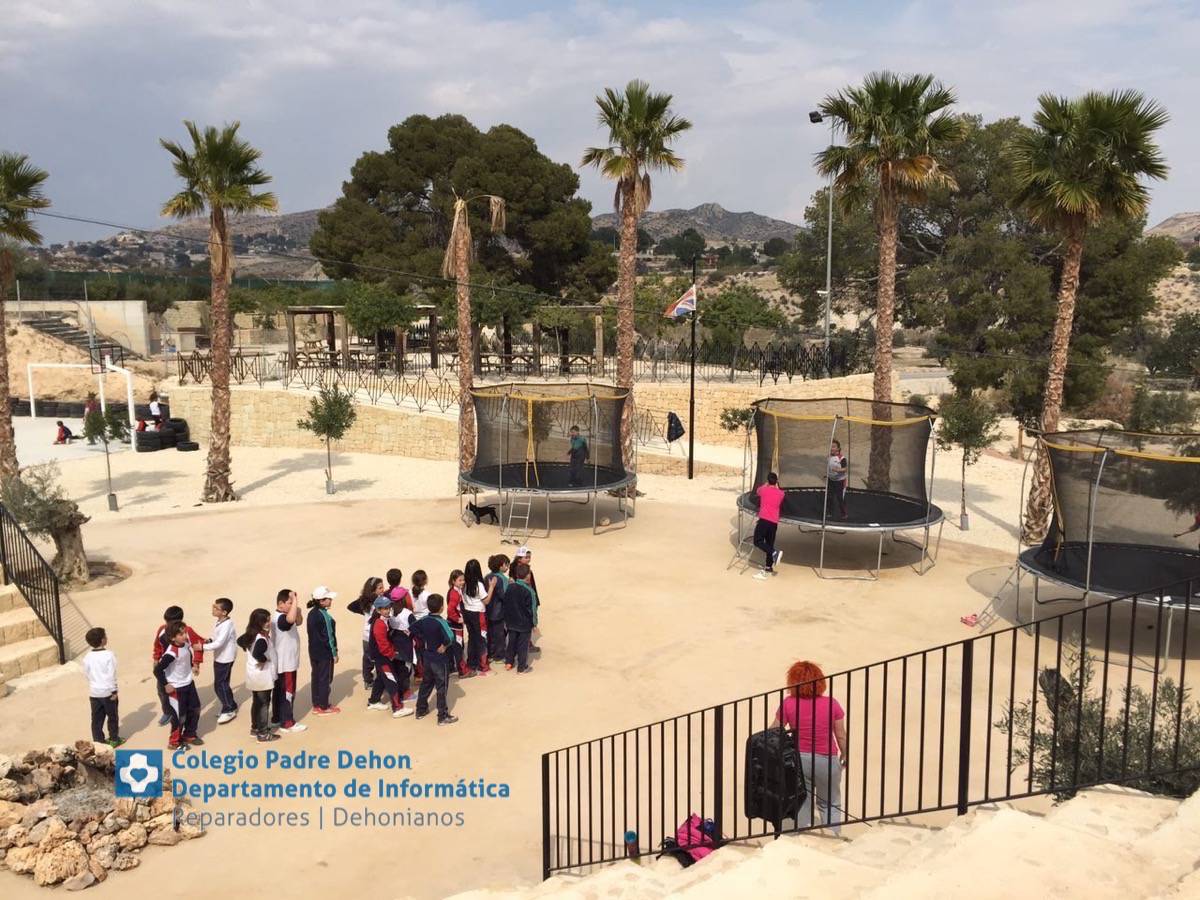 Photo919399636348807154