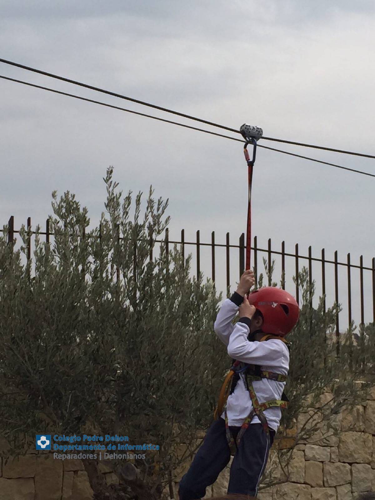 Photo919399636348807156