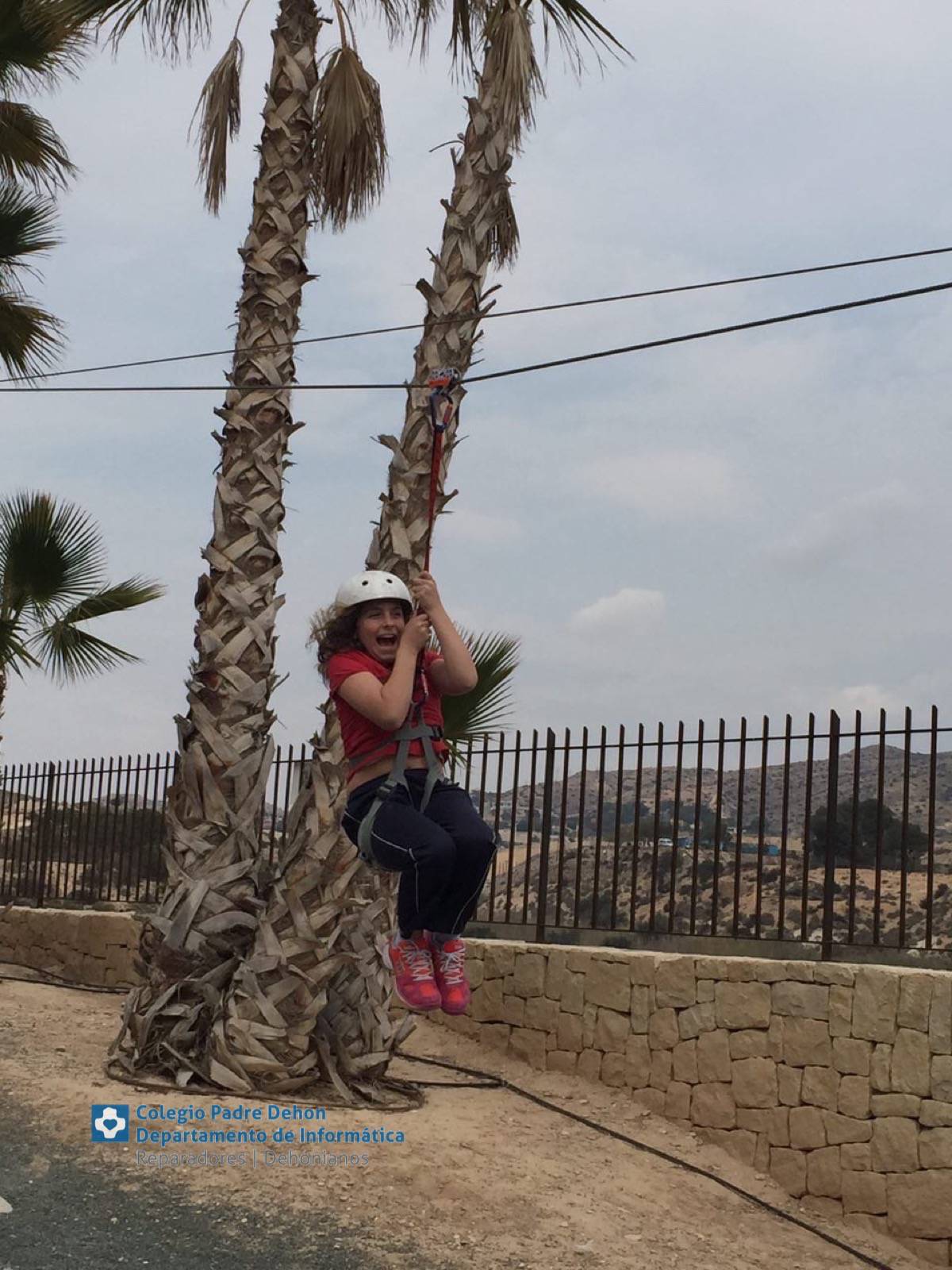 Photo919399636348807158