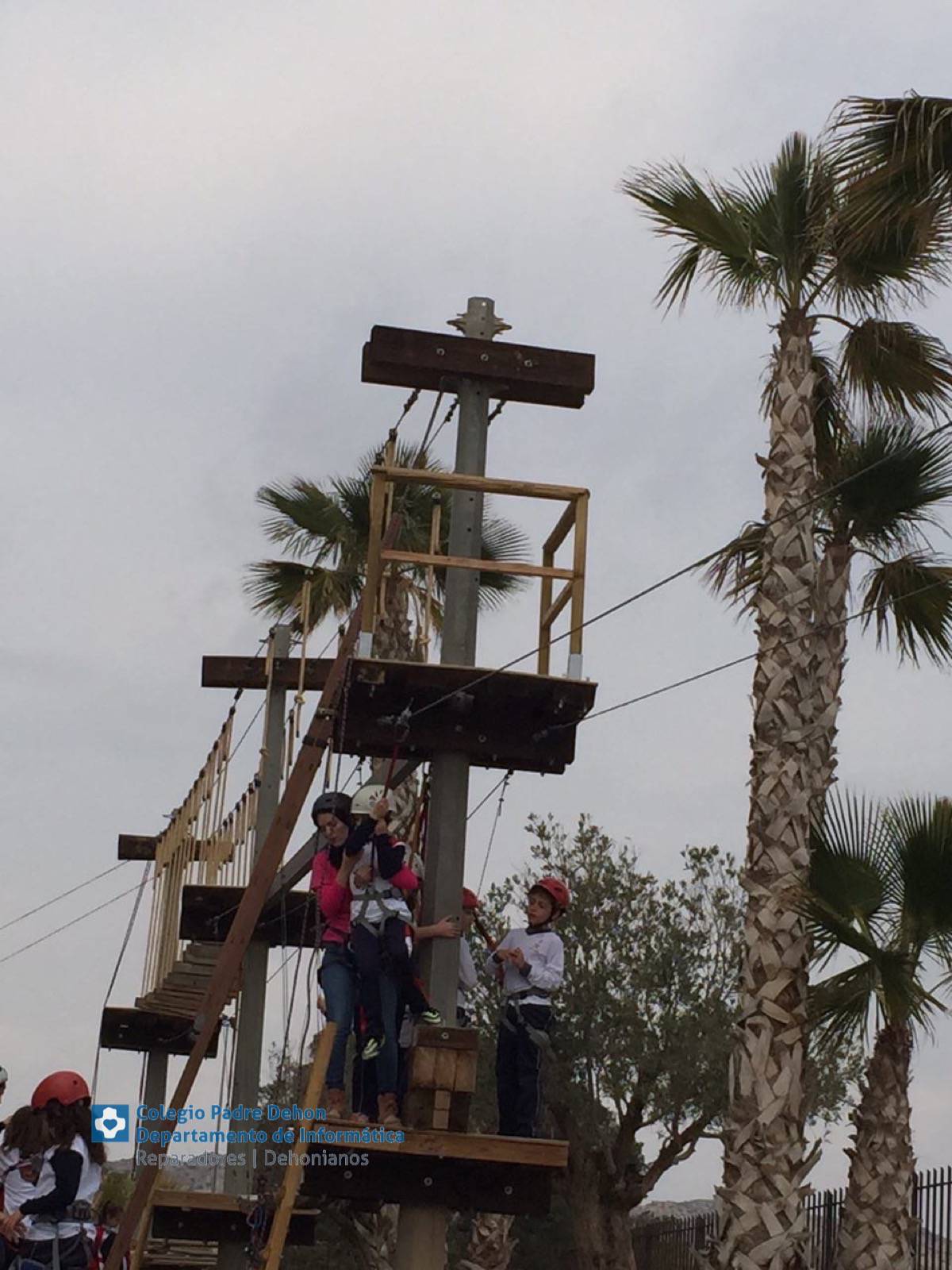 Photo919399636348807159