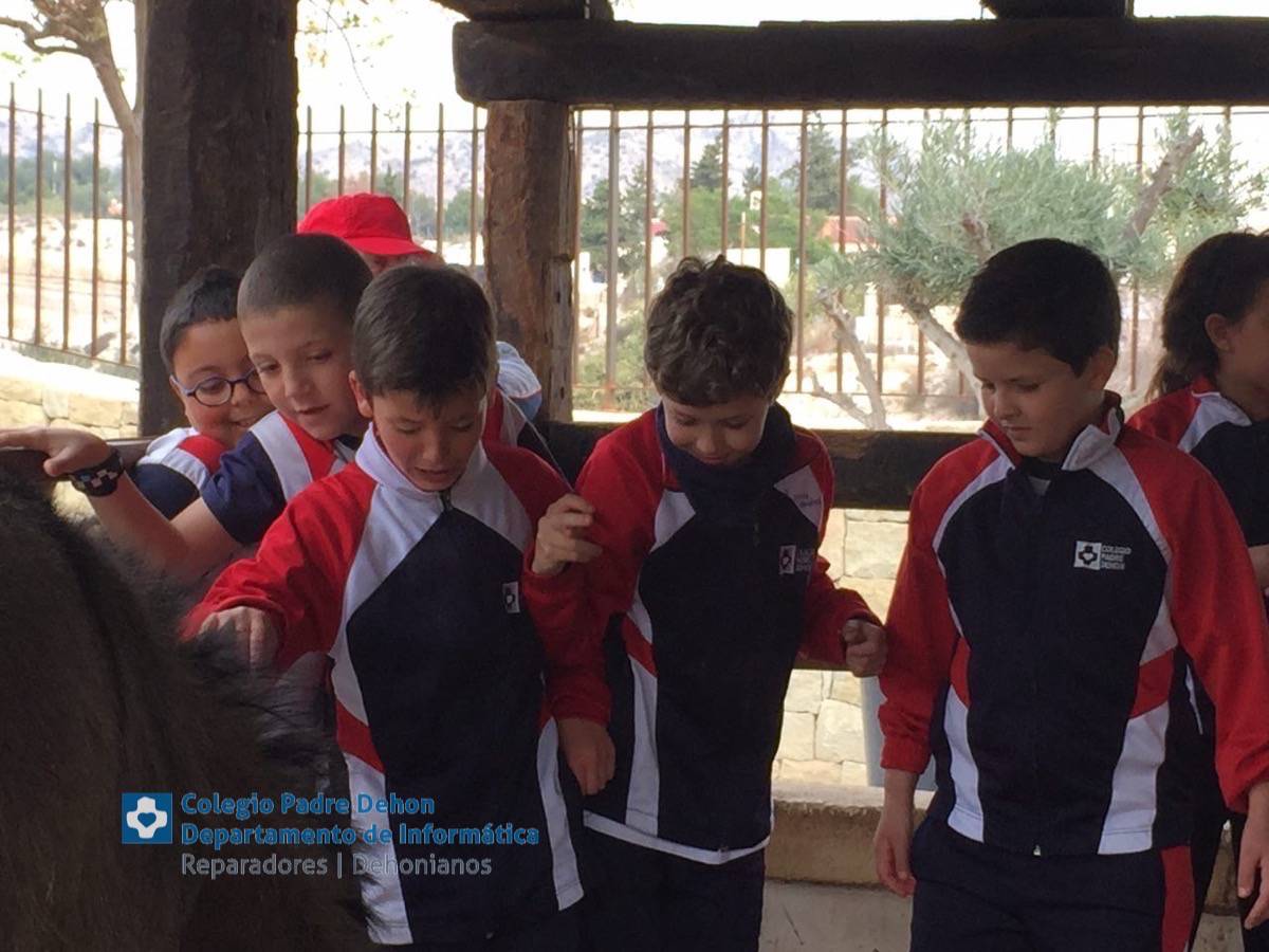 Photo919399636348807160