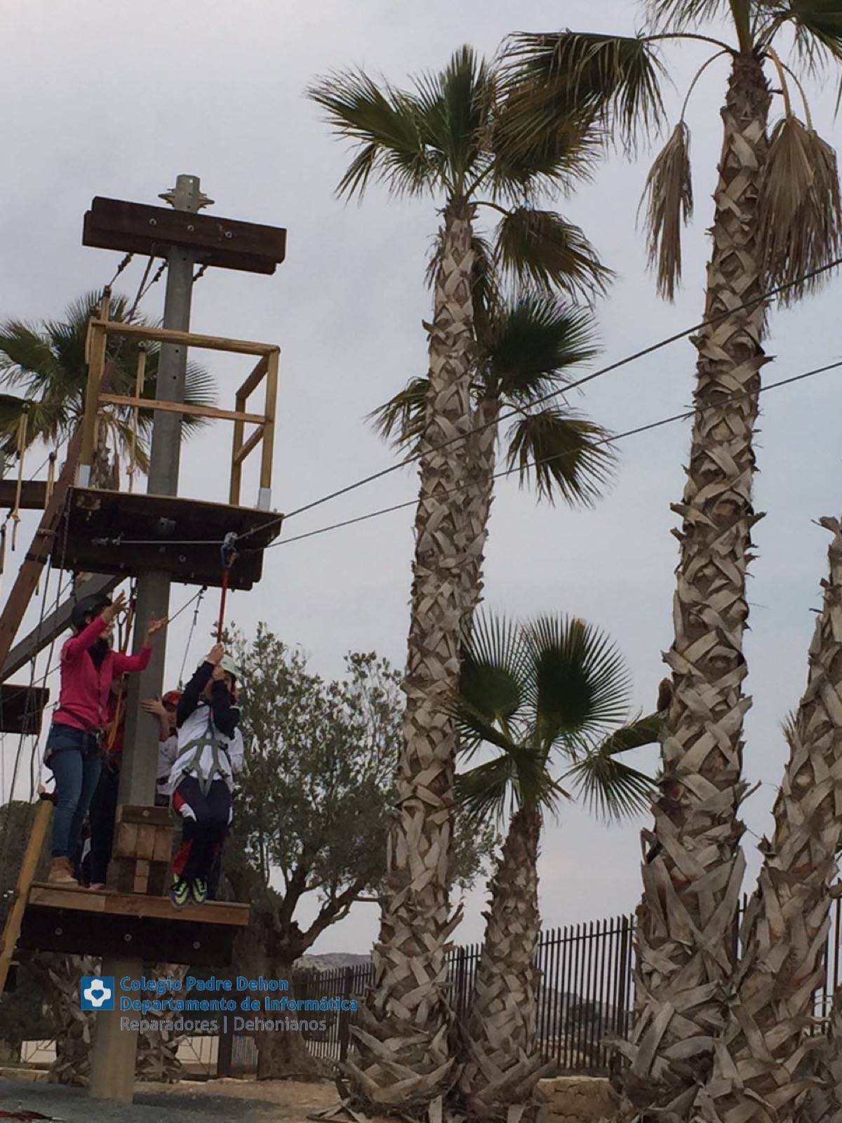 Photo919399636348807161