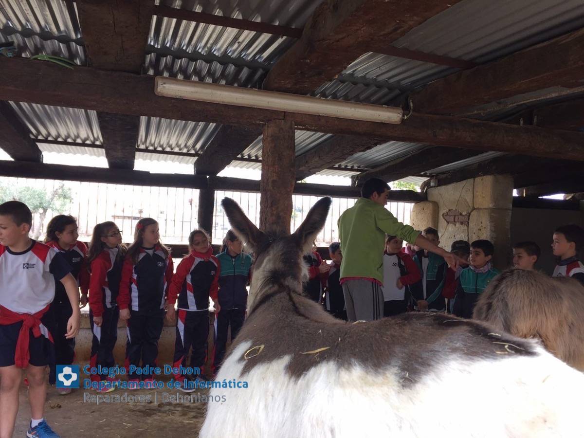 Photo919399636348807165