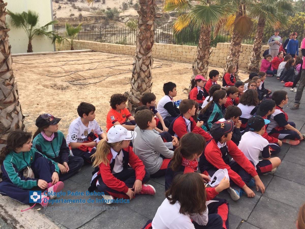 Photo919399636348807167