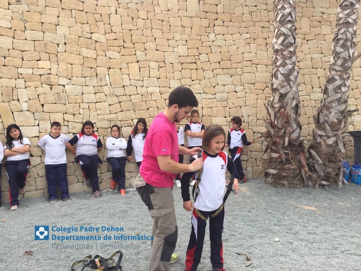 Photo919399636348807169