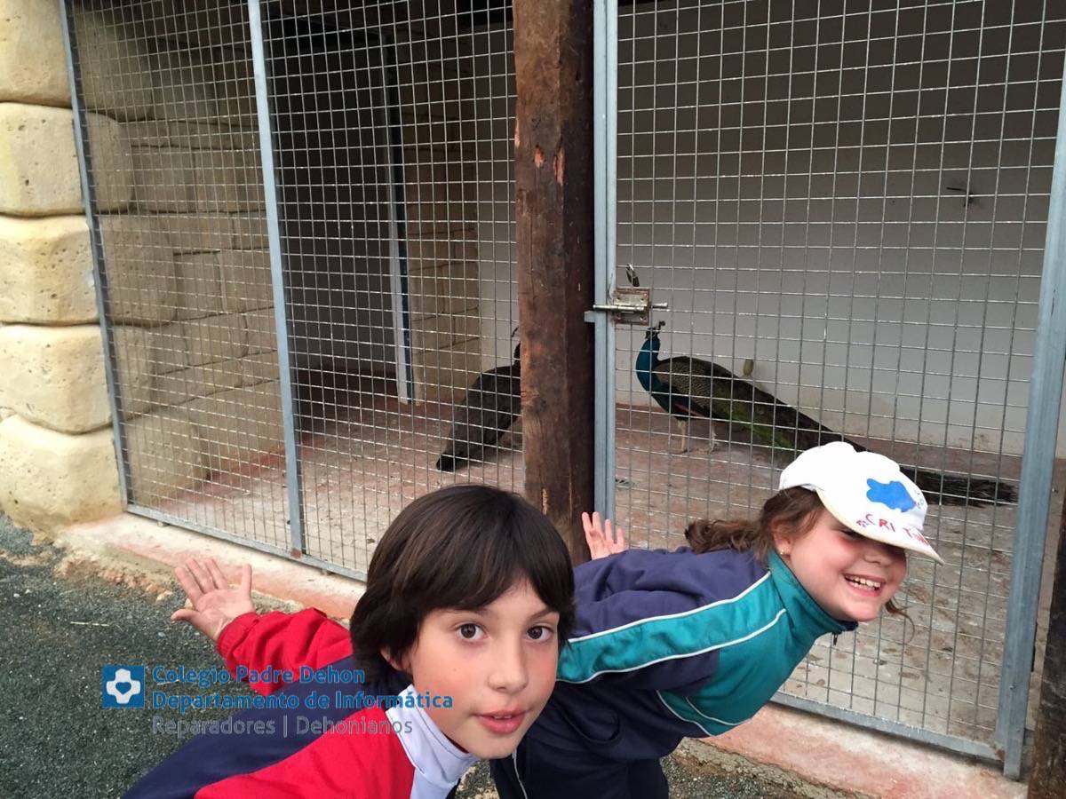 Photo919399636348807191