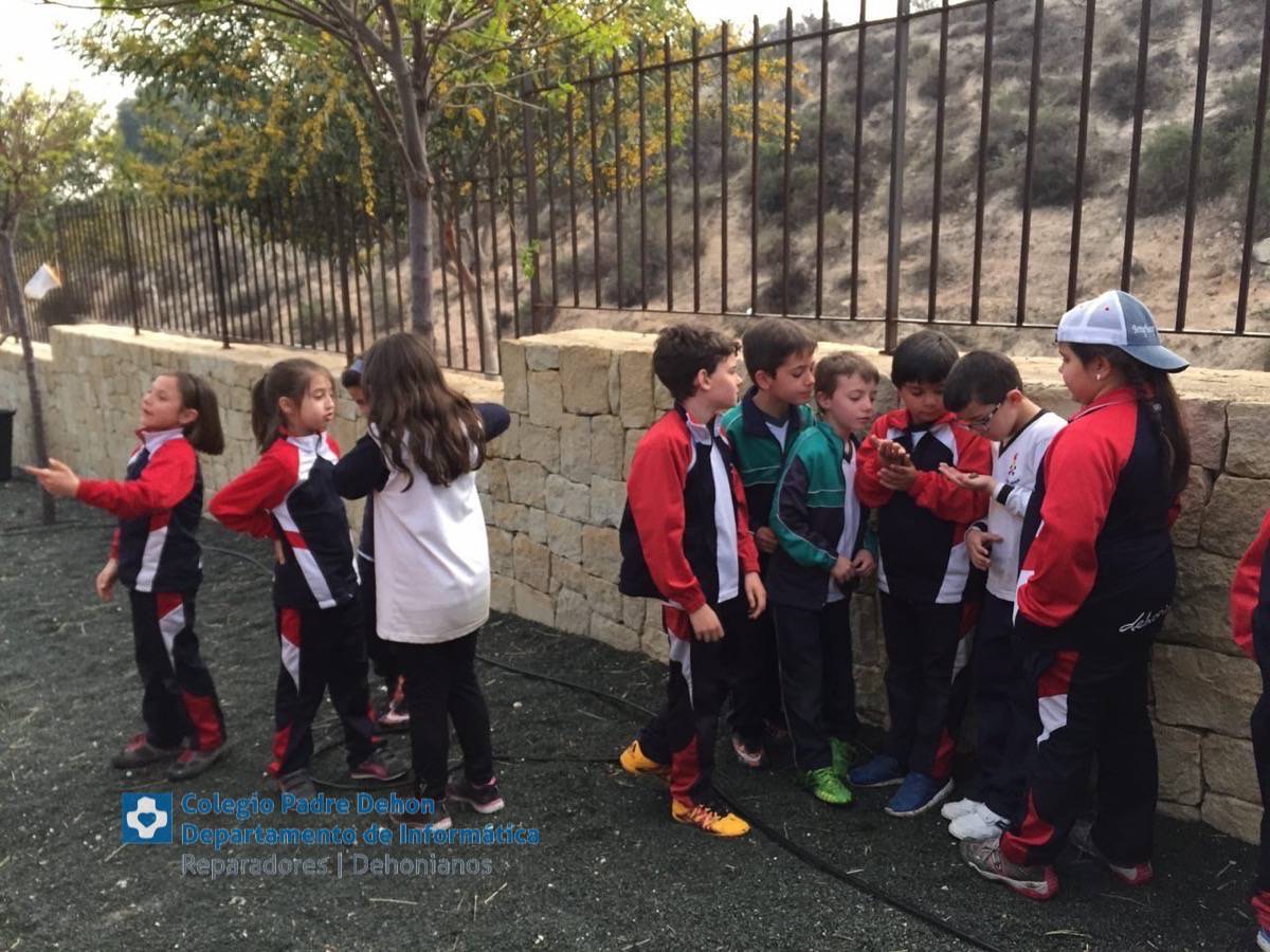 Photo919399636348807193