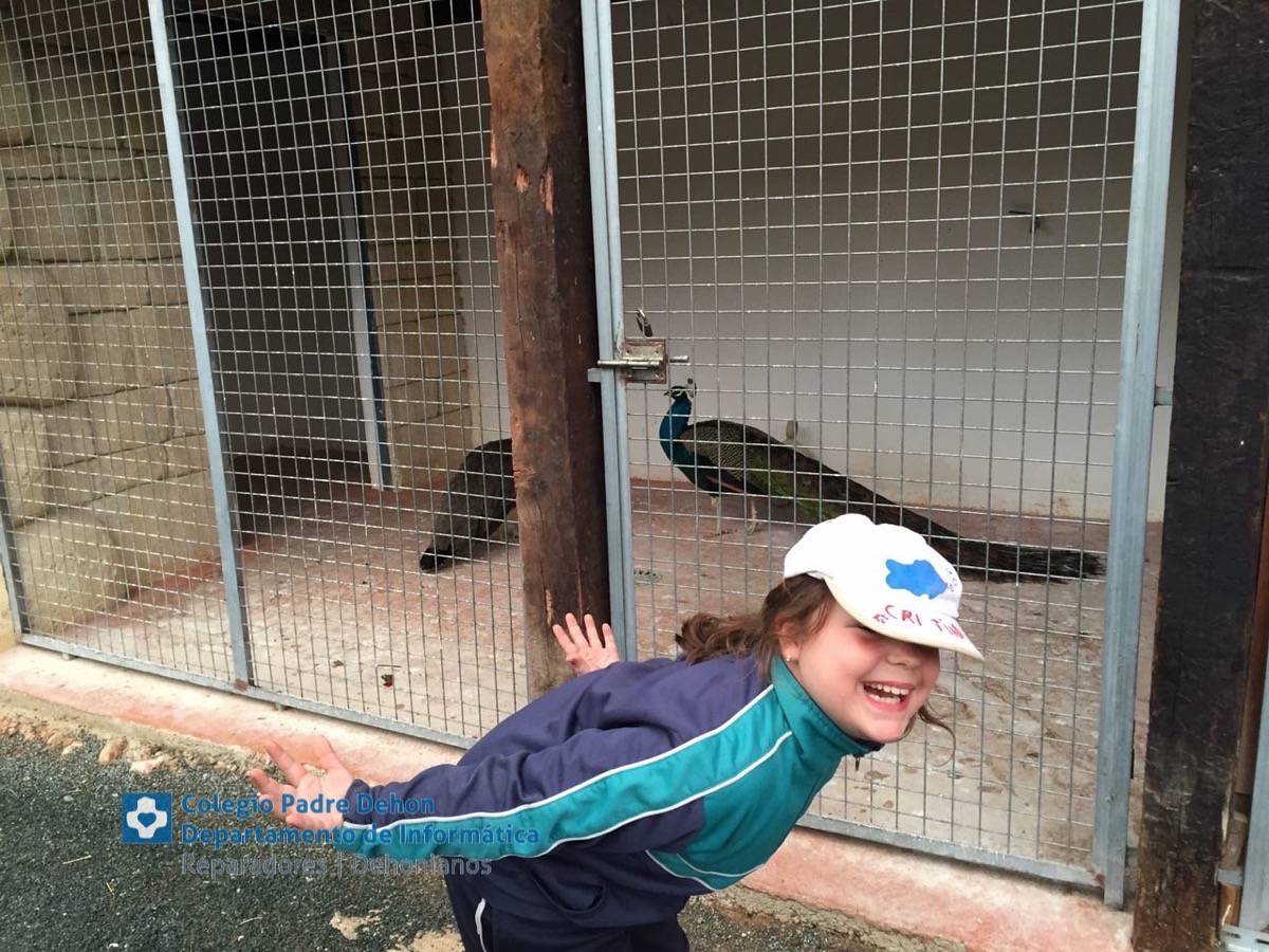 Photo919399636348807195