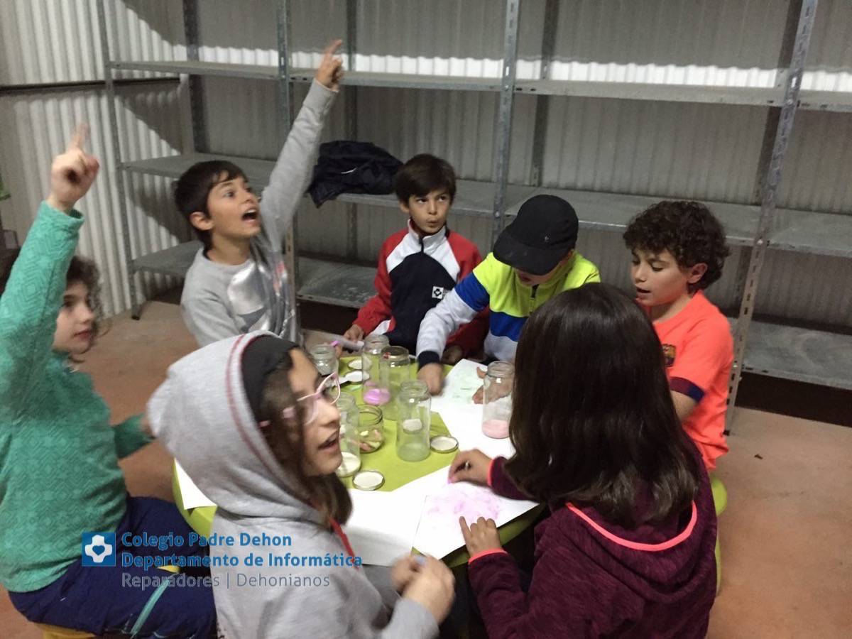 Photo919399636348807198