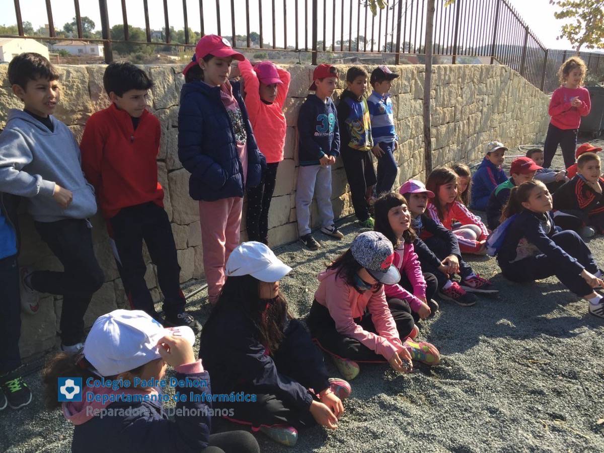 Photo919399636348807214