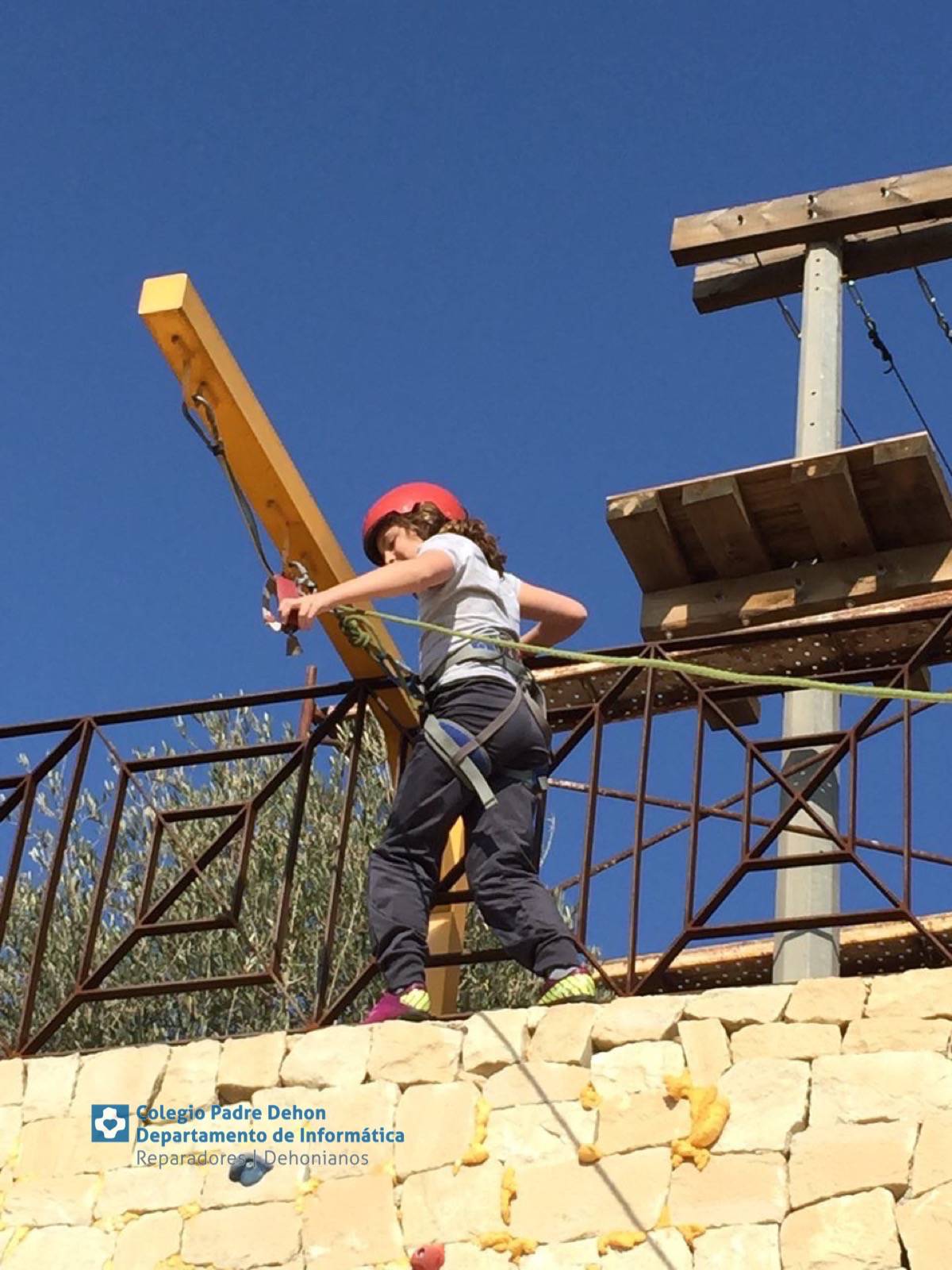 Photo919399636348807219