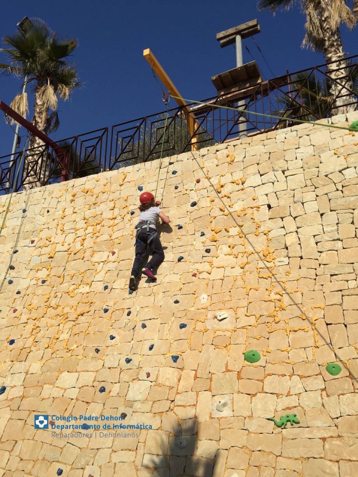 Photo919399636348807220