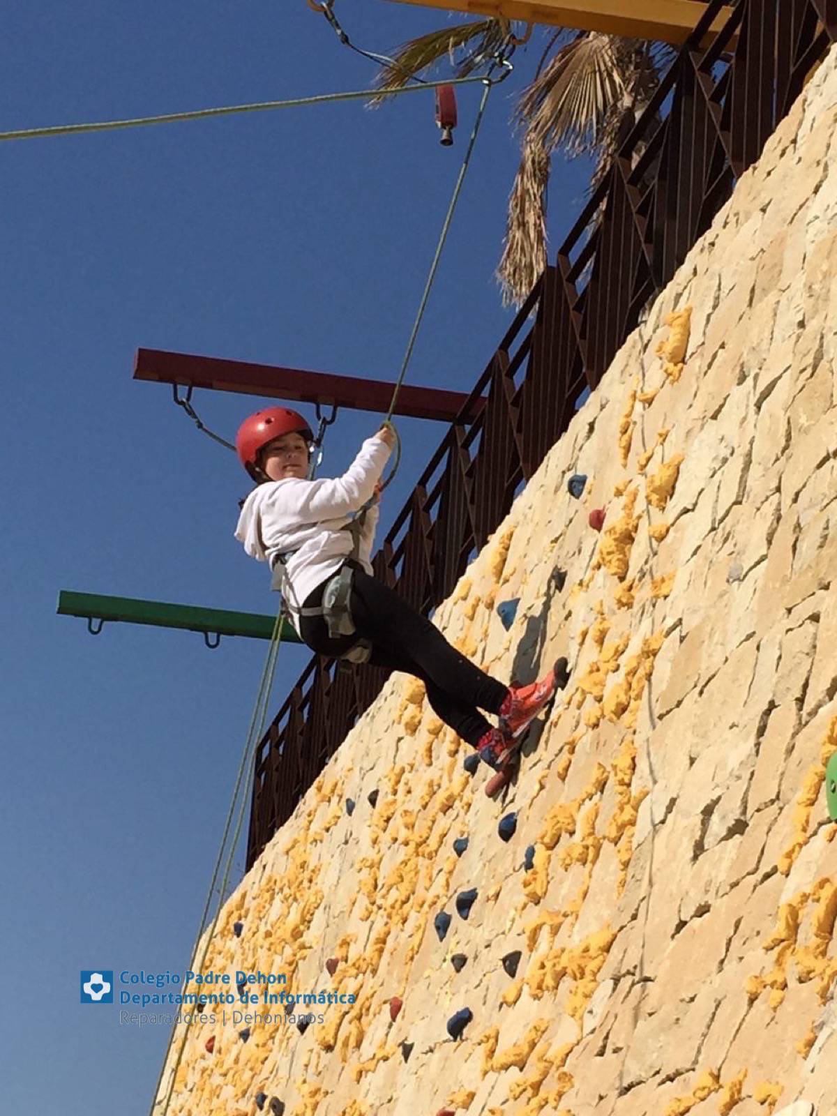 Photo919399636348807222