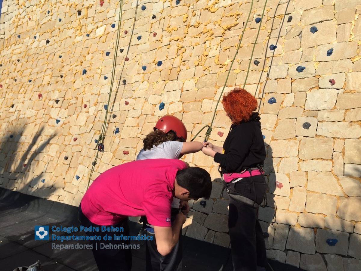 Photo919399636348807224