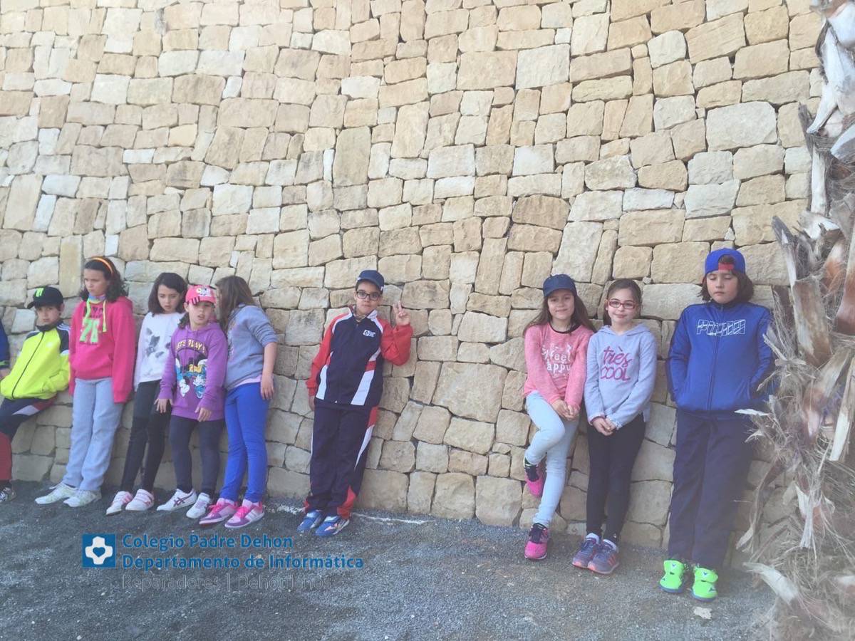 Photo919399636348807227