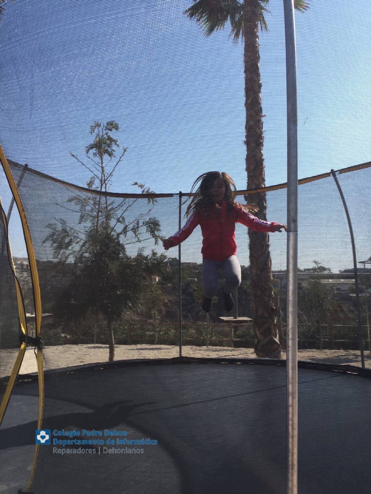 Photo919399636348807233