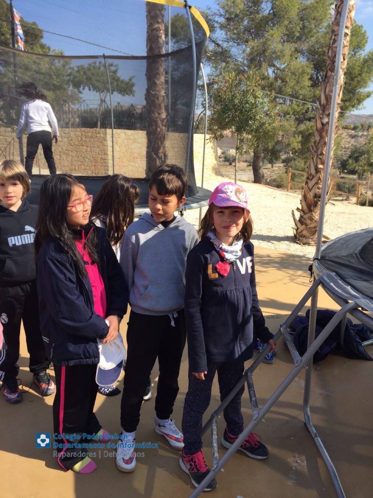 Photo919399636348807236