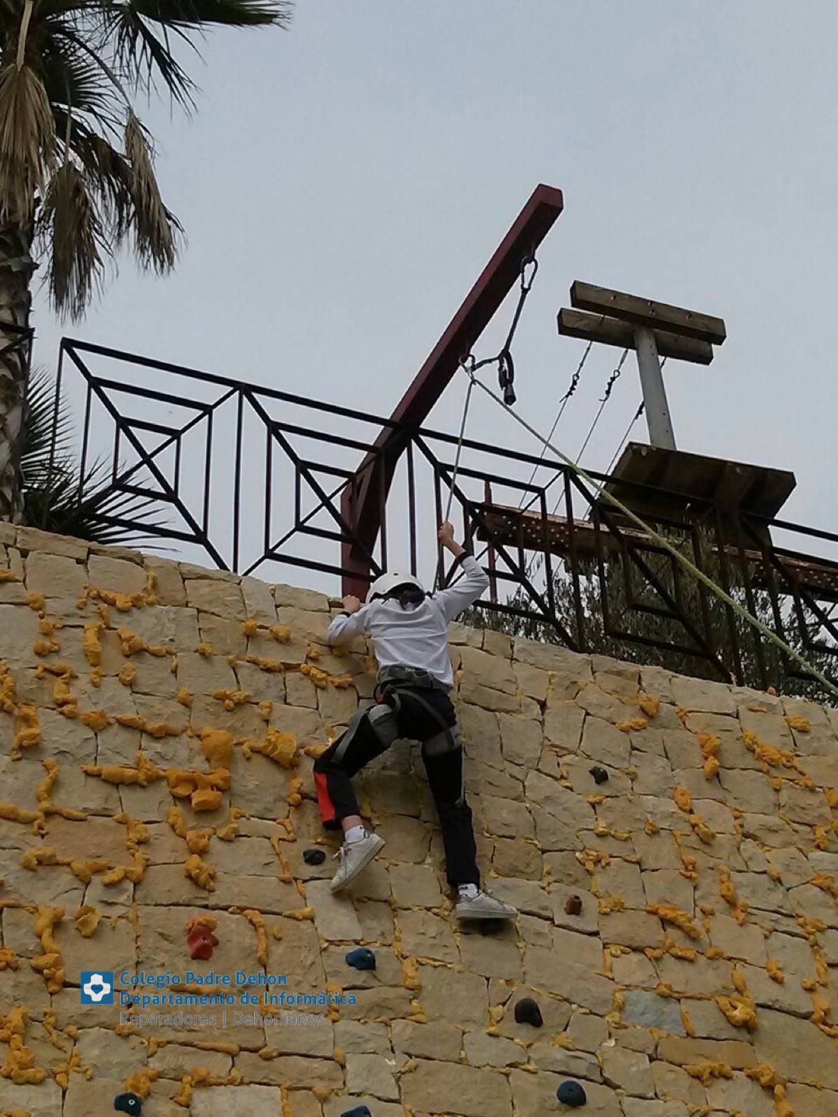 Photo938017469173442481