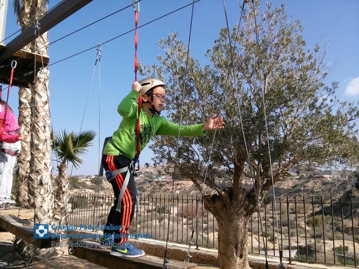 Photo938017469173442513