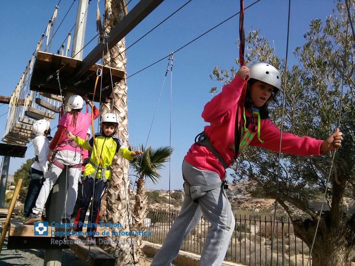 Photo938017469173442514