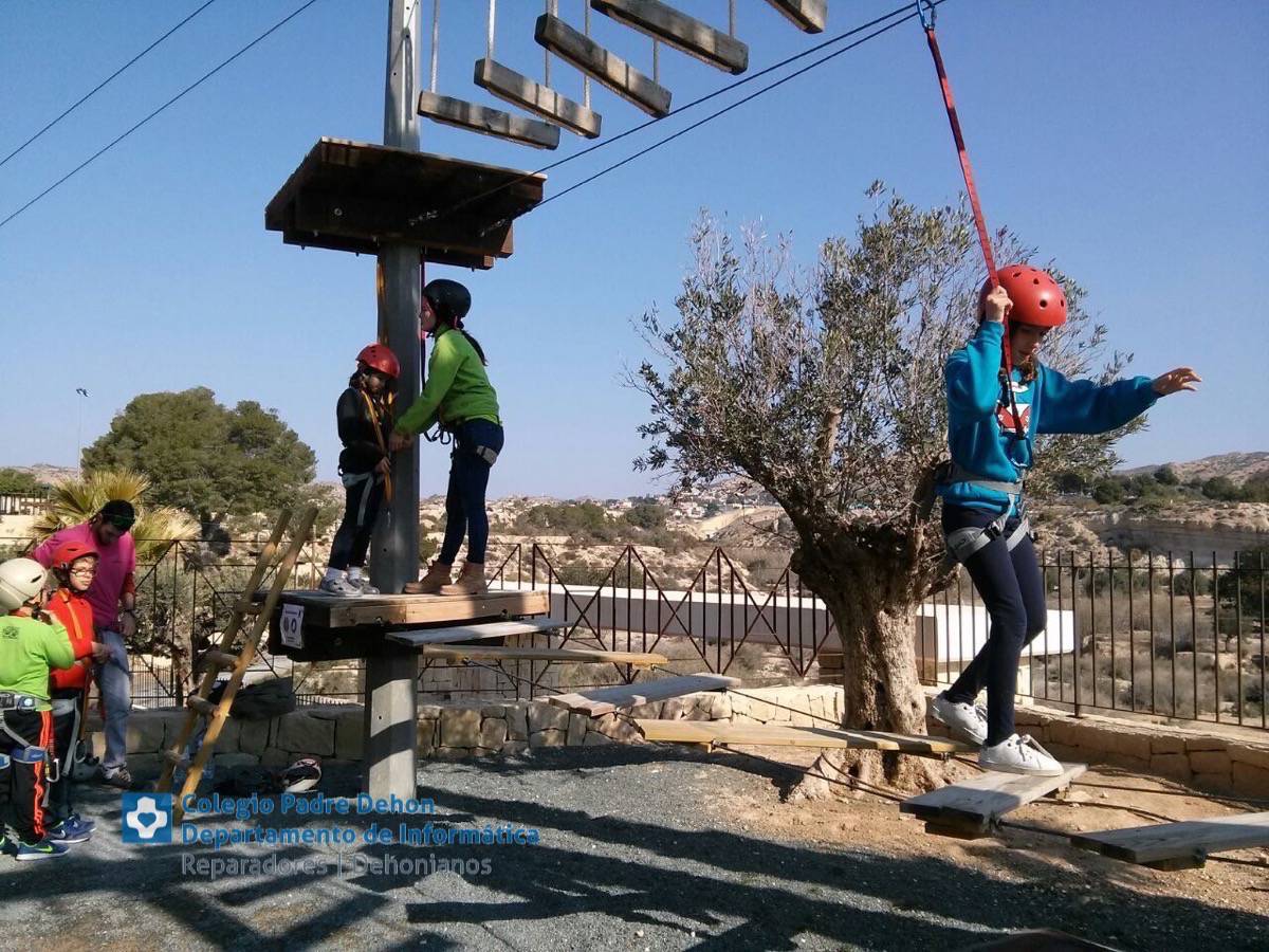 Photo938017469173442519