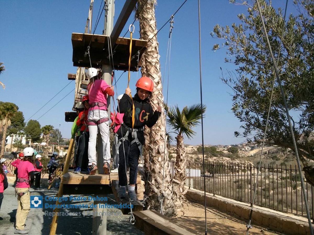 Photo938017469173442526