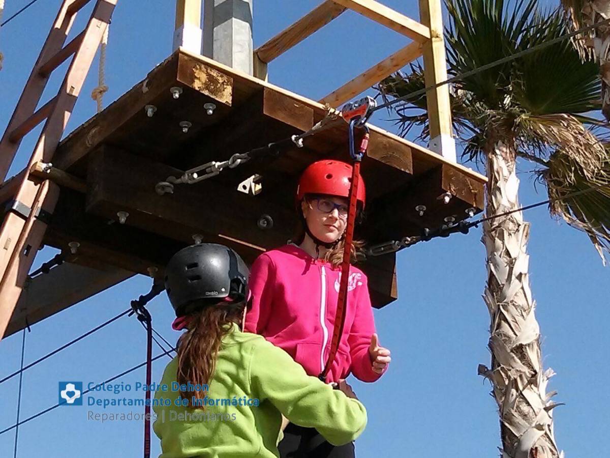 Photo938017469173442528