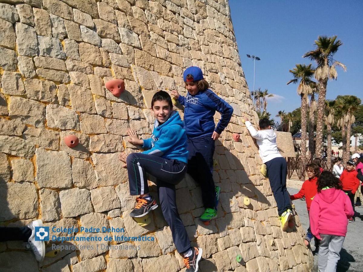 Photo938017469173442529